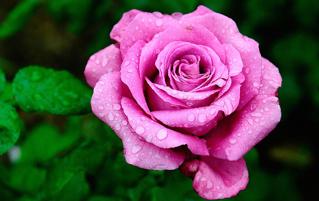 Помер культовий актор з найкрасивішим ім'ям